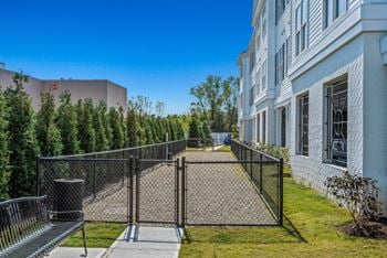 Pet friendly - dog run